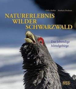 NATURERLEBNIS WILDER SCHWARZWALD von Daubner,  Norbert, Hufler,  Gaby
