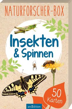 Naturforscher-Box – Insekten & Spinnen von Scholz,  Miriam