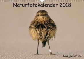 Naturfotokalender 2018 (Wandkalender 2018 DIN A3 quer) von Hübner,  Holger