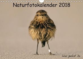 Naturfotokalender 2018 (Wandkalender 2018 DIN A4 quer) von Hübner,  Holger