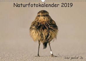 Naturfotokalender 2019 (Wandkalender 2019 DIN A3 quer) von Hübner,  Holger