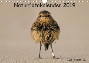 Naturfotokalender 2019 (Wandkalender 2019 DIN A4 quer) von Hübner,  Holger