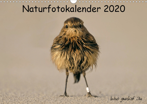 Naturfotokalender 2020 (Wandkalender 2020 DIN A3 quer) von Hübner,  Holger