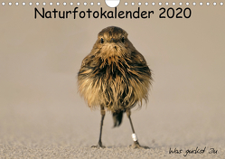 Naturfotokalender 2020 (Wandkalender 2020 DIN A4 quer) von Hübner,  Holger