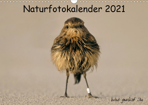 Naturfotokalender 2021 (Wandkalender 2021 DIN A3 quer) von Hübner,  Holger