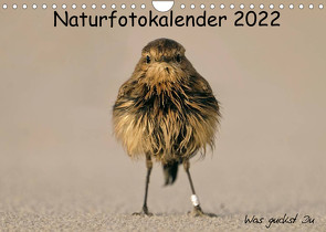 Naturfotokalender 2022 (Wandkalender 2022 DIN A4 quer) von Hübner,  Holger