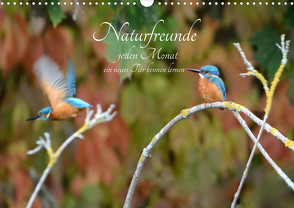 Naturfreunde, jeden Monat ein neues Tier kennen lernen. (Wandkalender 2024 DIN A3 quer), CALVENDO Monatskalender von Rufotos,  Rufotos