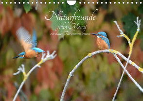 Naturfreunde, jeden Monat ein neues Tier kennen lernen. (Wandkalender 2024 DIN A4 quer), CALVENDO Monatskalender von Rufotos,  Rufotos