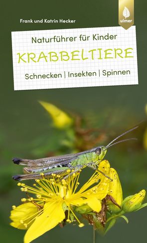 Naturführer für Kinder: Krabbeltiere von Hecker,  Frank und Katrin