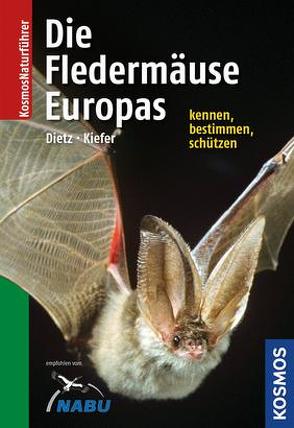 Naturführer Fledermäuse Europas von Dietz,  Christian, Kiefer,  Andreas