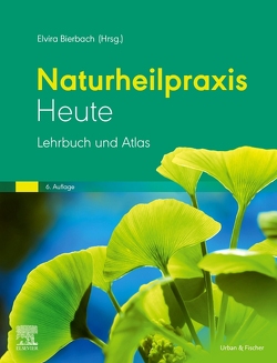 Naturheilpraxis heute von Bierbach,  Elvira, Hübner,  Heike, Rintelen,  Henriette