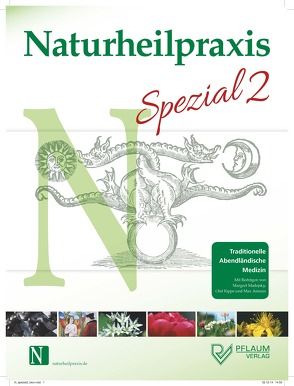 Naturheilpraxis Spezial 2 von Madejsky-Rippe,  Marget und Olaf