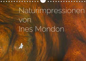 Naturimpressionen von Ines Mondon (Wandkalender 2019 DIN A4 quer) von Mondon,  Ines