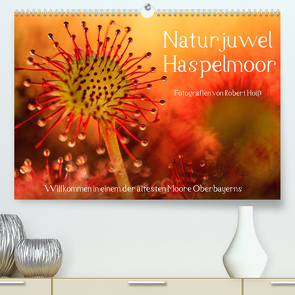 Naturjuwel Haspelmoor (Premium, hochwertiger DIN A2 Wandkalender 2023, Kunstdruck in Hochglanz) von Hoiss,  Robert