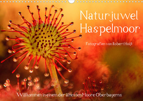 Naturjuwel Haspelmoor (Wandkalender 2023 DIN A3 quer) von Hoiss,  Robert