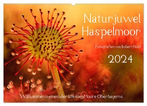 Naturjuwel Haspelmoor (Wandkalender 2024 DIN A2 quer), CALVENDO Monatskalender von Hoiss,  Robert