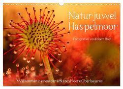 Naturjuwel Haspelmoor (Wandkalender 2024 DIN A3 quer), CALVENDO Monatskalender von Hoiss,  Robert