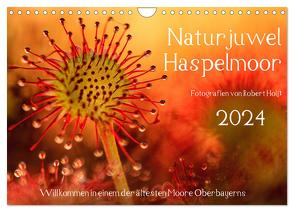 Naturjuwel Haspelmoor (Wandkalender 2024 DIN A4 quer), CALVENDO Monatskalender von Hoiss,  Robert