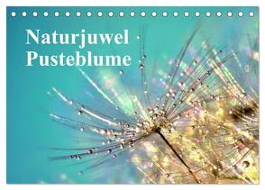 Naturjuwel Pusteblume (Tischkalender 2024 DIN A5 quer), CALVENDO Monatskalender von Delgado,  Julia