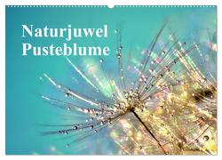 Naturjuwel Pusteblume (Wandkalender 2024 DIN A2 quer), CALVENDO Monatskalender von Delgado,  Julia