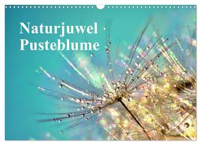 Naturjuwel Pusteblume (Wandkalender 2024 DIN A3 quer), CALVENDO Monatskalender von Delgado,  Julia