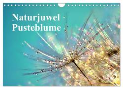 Naturjuwel Pusteblume (Wandkalender 2024 DIN A4 quer), CALVENDO Monatskalender von Delgado,  Julia