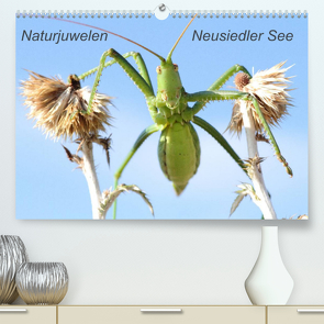 Naturjuwelen – Neusiedler See (Premium, hochwertiger DIN A2 Wandkalender 2023, Kunstdruck in Hochglanz) von Bachmeier,  Günter