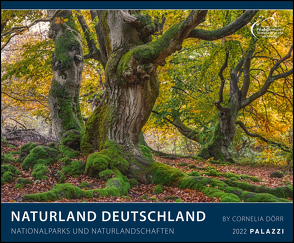 Naturland Deutschland 2022 – Bild-Kalender – Poster-Kalender – 60×50 von Dörr,  Cornelia