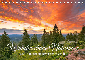 Naturlandschaft Bayerischer Wald: Wunderschöne Naturoase (Tischkalender 2022 DIN A5 quer) von CALVENDO