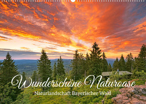 Naturlandschaft Bayerischer Wald: Wunderschöne Naturoase (Wandkalender 2022 DIN A2 quer) von CALVENDO