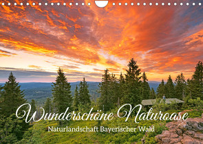Naturlandschaft Bayerischer Wald: Wunderschöne Naturoase (Wandkalender 2022 DIN A4 quer) von CALVENDO