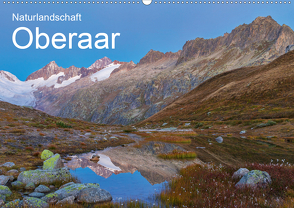 Naturlandschaft Oberaar (Wandkalender 2021 DIN A2 quer) von Schaefer,  Marcel