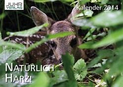 Natürlich Harz! Kalender 2014 von Steinberg,  Ralf