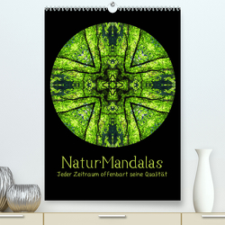 NaturMandalas – Jeder Zeitraum offenbart seine Qualität (Premium, hochwertiger DIN A2 Wandkalender 2023, Kunstdruck in Hochglanz) von OylesArt