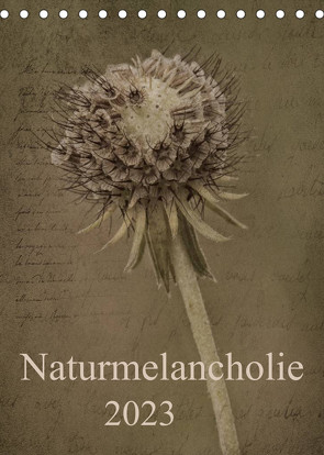 Naturmelancholie 2023 (Tischkalender 2023 DIN A5 hoch) von Arnold Joseph,  Hernegger