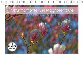 Naturmomente: Die Magnolienblüte (Tischkalender 2019 DIN A5 quer) von Eisold,  Hanns-Peter