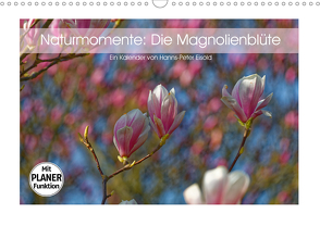 Naturmomente: Die Magnolienblüte (Wandkalender 2021 DIN A3 quer) von Eisold,  Hanns-Peter