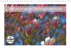 Naturmomente: Die Magnolienblüte (Wandkalender 2021 DIN A4 quer) von Eisold,  Hanns-Peter