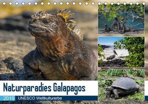 Naturparadies Galapagos – UNESCO Weltkulturerbe (Tischkalender 2019 DIN A5 quer) von Photo4emotion.com