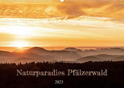Naturparadies Pfälzerwald (Wandkalender 2023 DIN A2 quer) von - Patricia Flatow,  Momentfänger