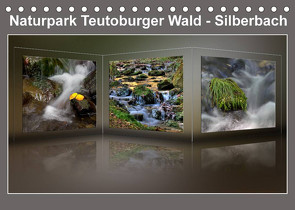 Naturpark Teutoburger Wald – Silberbach (Tischkalender 2023 DIN A5 quer) von Hobscheidt,  Ernst