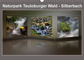 Naturpark Teutoburger Wald – Silberbach (Wandkalender 2019 DIN A3 quer) von Hobscheidt,  Ernst