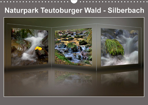 Naturpark Teutoburger Wald – Silberbach (Wandkalender 2020 DIN A3 quer) von Hobscheidt,  Ernst