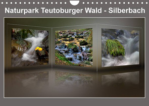 Naturpark Teutoburger Wald – Silberbach (Wandkalender 2023 DIN A4 quer) von Hobscheidt,  Ernst