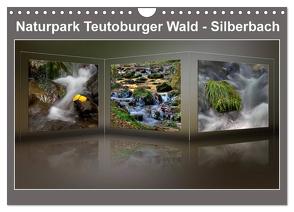 Naturpark Teutoburger Wald – Silberbach (Wandkalender 2024 DIN A4 quer), CALVENDO Monatskalender von Hobscheidt,  Ernst