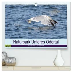 Naturpark Unteres Odertal (hochwertiger Premium Wandkalender 2024 DIN A2 quer), Kunstdruck in Hochglanz von Widdmann,  Uwe