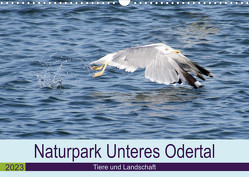 Naturpark Unteres Odertal (Wandkalender 2023 DIN A3 quer) von Widdmann,  Uwe