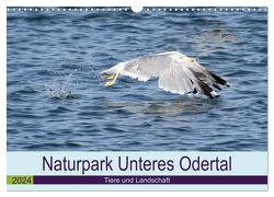 Naturpark Unteres Odertal (Wandkalender 2024 DIN A3 quer), CALVENDO Monatskalender von Widdmann,  Uwe