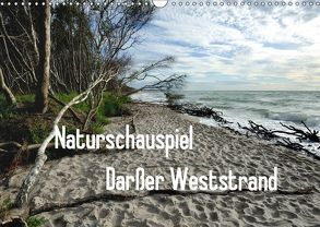 Naturschauspiel Darßer Weststrand (Wandkalender 2019 DIN A3 quer) von Pries,  Friedrich