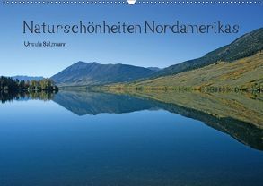 Naturschönheiten Nordamerikas (Wandkalender 2018 DIN A2 quer) von Salzmann,  Ursula